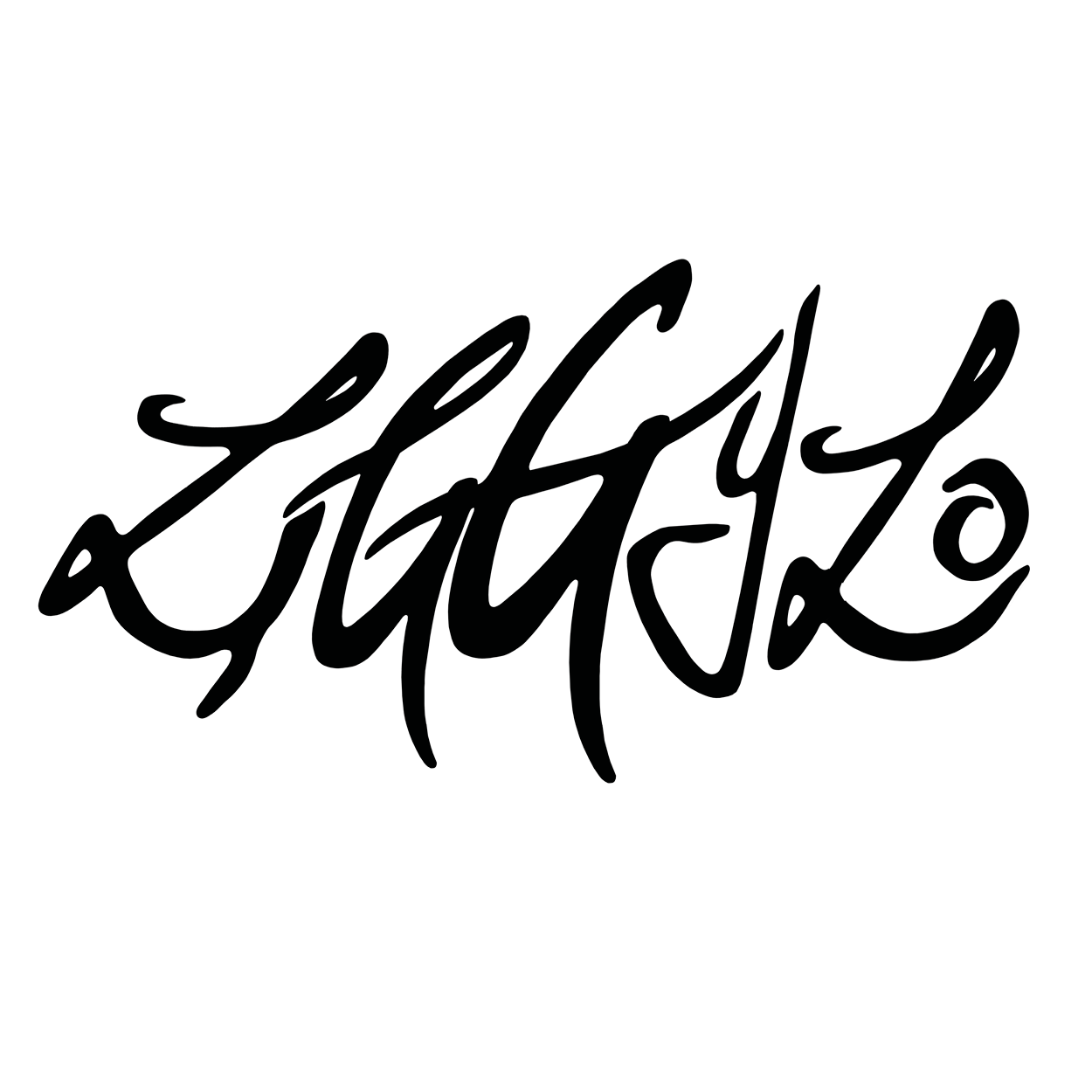 Ziggyzo Logo Square